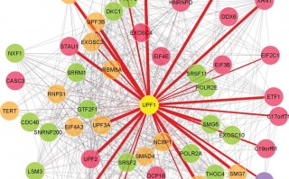 蛋白组学数据分析实习，蛋白组学数据如何分析